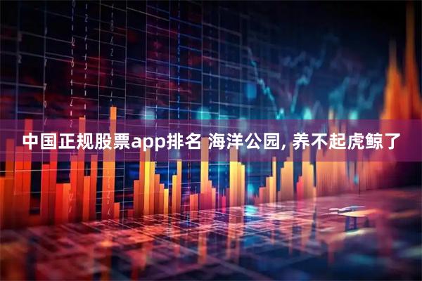 中国正规股票app排名 海洋公园, 养不起虎鲸了