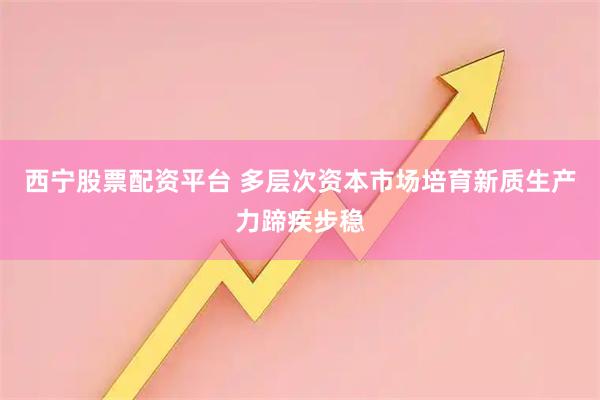 西宁股票配资平台 多层次资本市场培育新质生产力蹄疾步稳