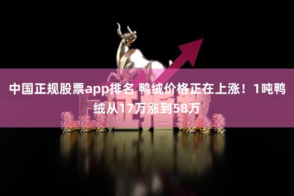 中国正规股票app排名 鸭绒价格正在上涨！1吨鸭绒从17万涨到58万