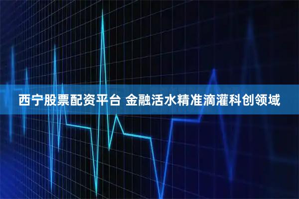 西宁股票配资平台 金融活水精准滴灌科创领域