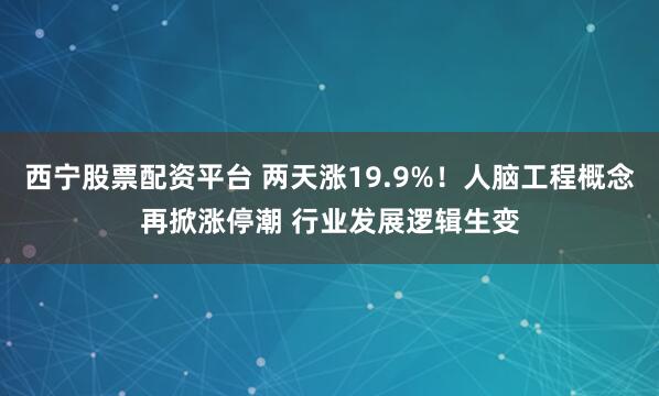 西宁股票配资平台 两天涨19.9%！人脑工程概念再掀涨停潮 行业发展逻辑生变