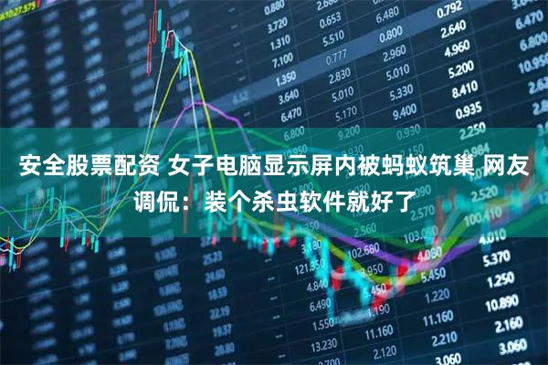 安全股票配资 女子电脑显示屏内被蚂蚁筑巢 网友调侃：装个杀虫软件就好了